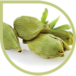 Kardemom natuurlijk extract